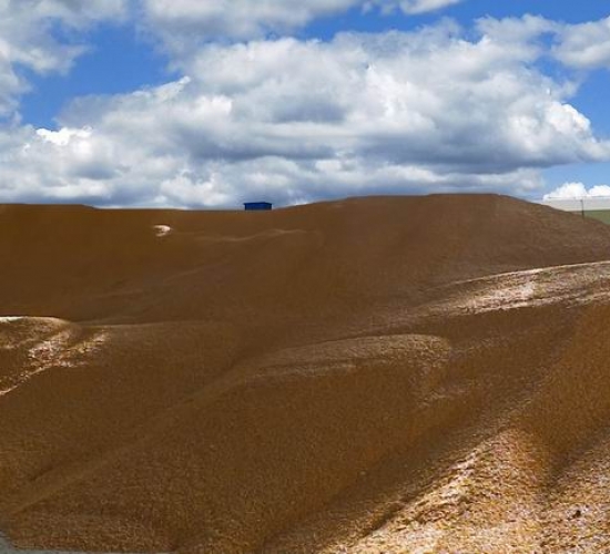 臺安稷豐糧食經銷有限公司